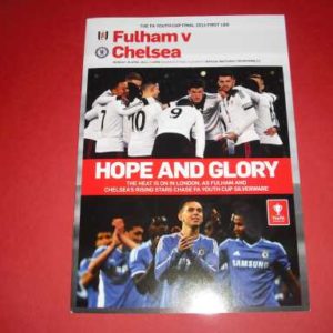 2014 FULHAM V CHELSEA YOUTH CUP FINAL 1ST LEG
